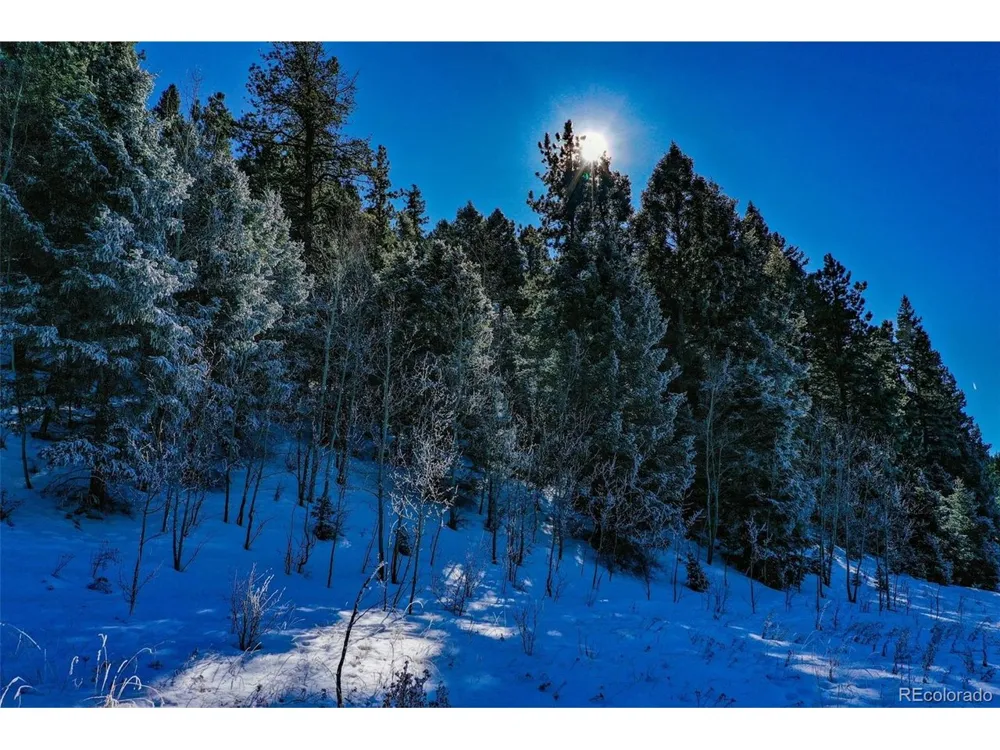278 Penrose Circle Florissant, CO 80816