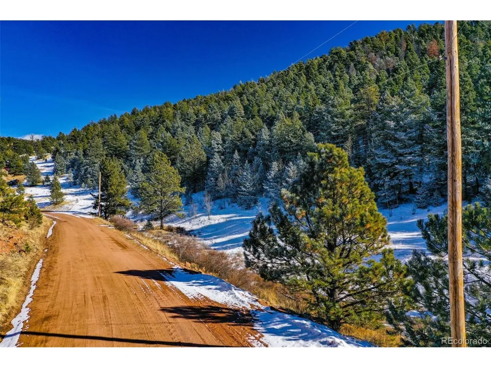 278 Penrose Circle Florissant, CO 80816