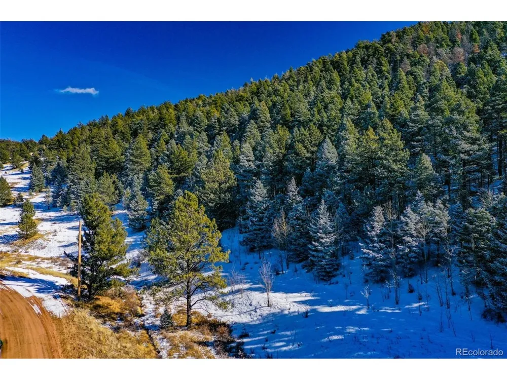 278 Penrose Circle Florissant, CO 80816