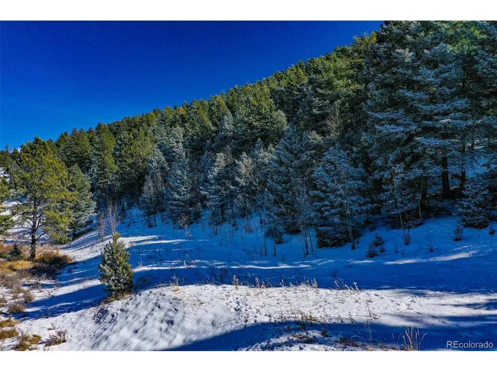 278 Penrose Circle Florissant, CO 80816