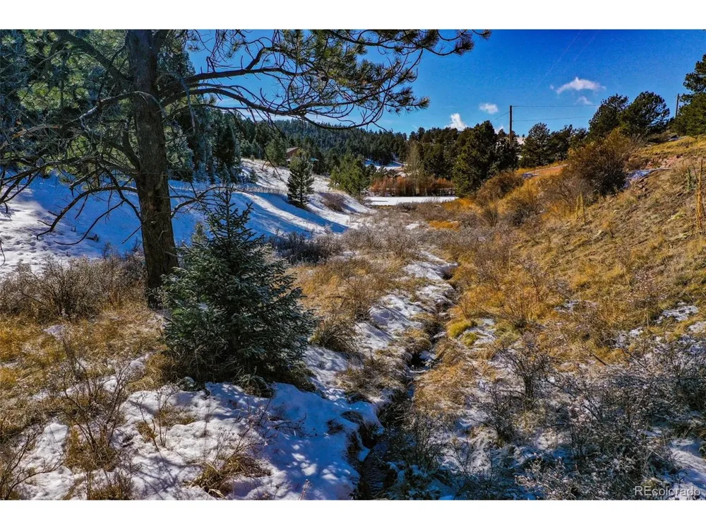 278 Penrose Circle Florissant, CO 80816