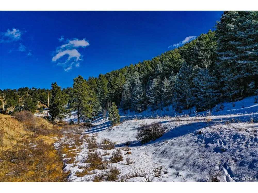 278 Penrose Circle Florissant, CO 80816