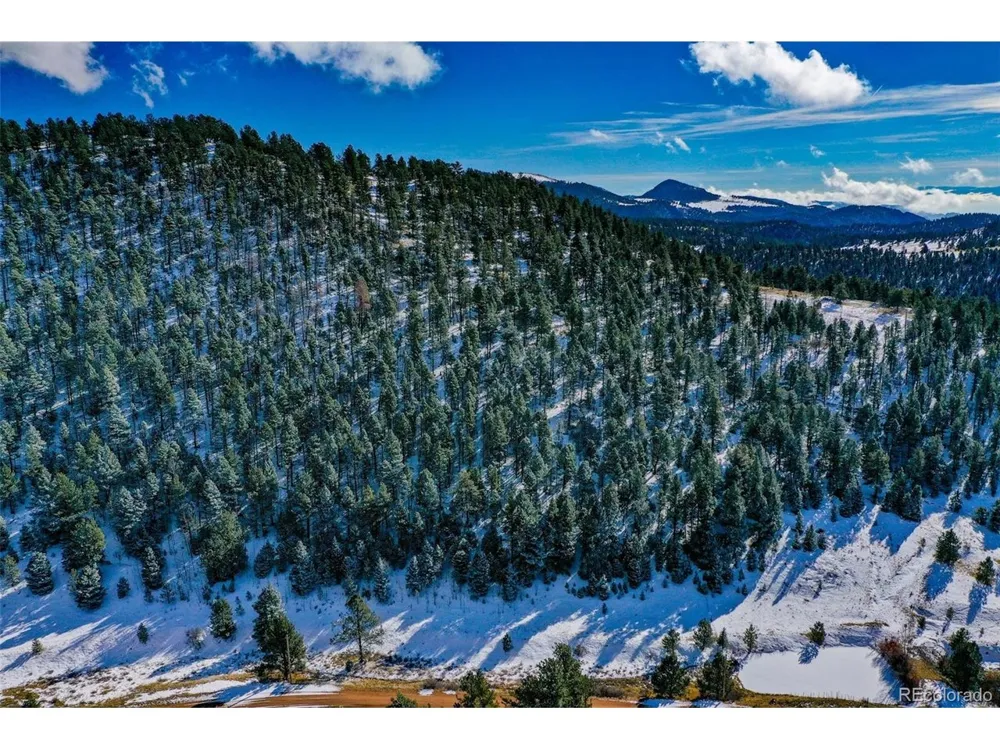 278 Penrose Circle Florissant, CO 80816