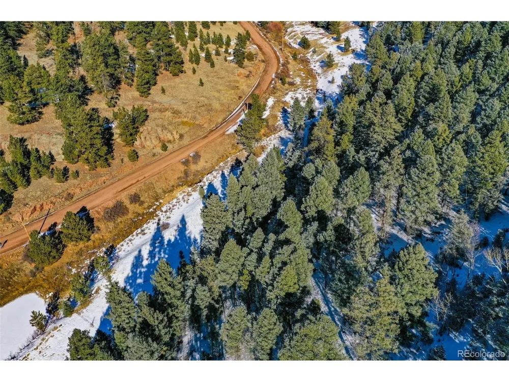 278 Penrose Circle Florissant, CO 80816