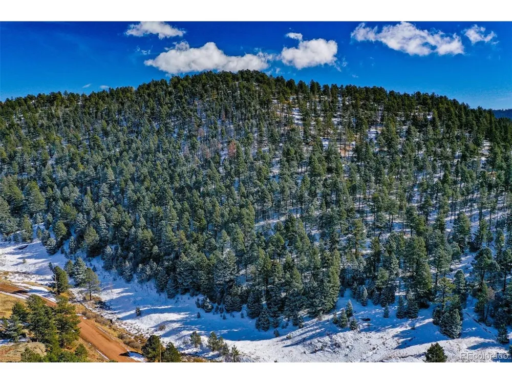 278 Penrose Circle Florissant, CO 80816