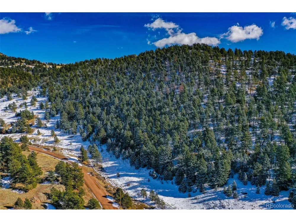 278 Penrose Circle Florissant, CO 80816