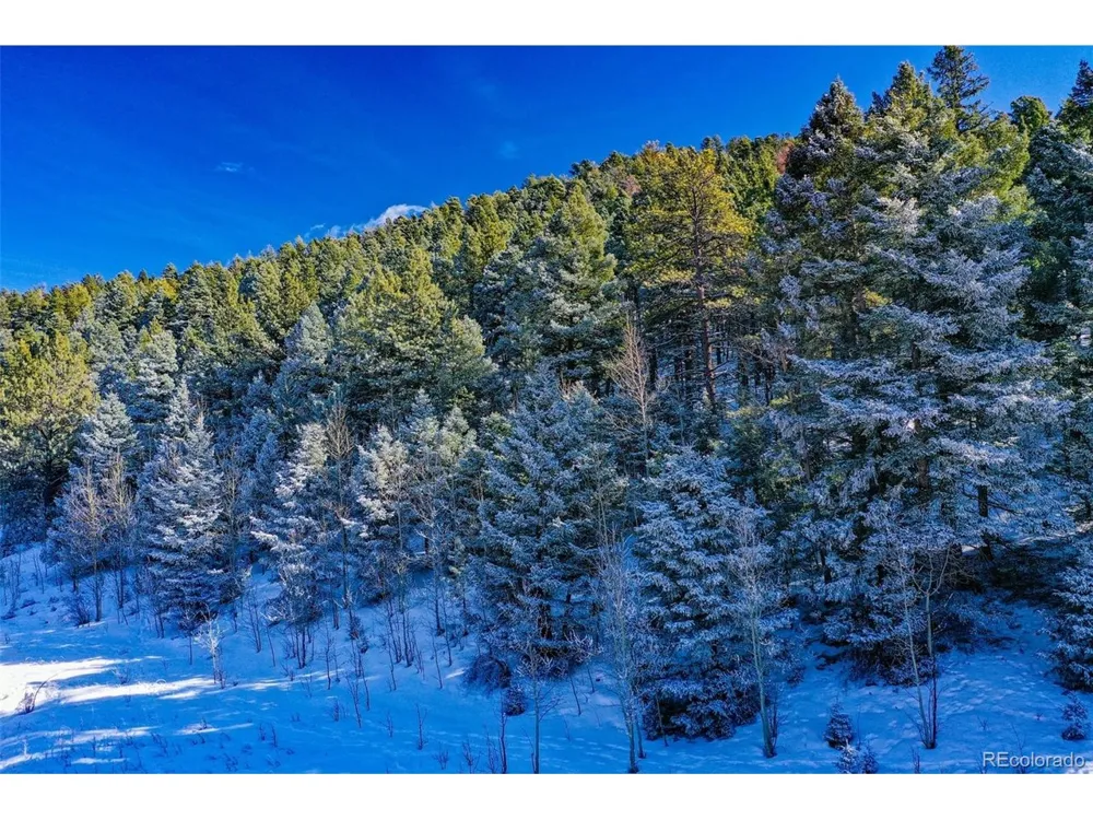278 Penrose Circle Florissant, CO 80816