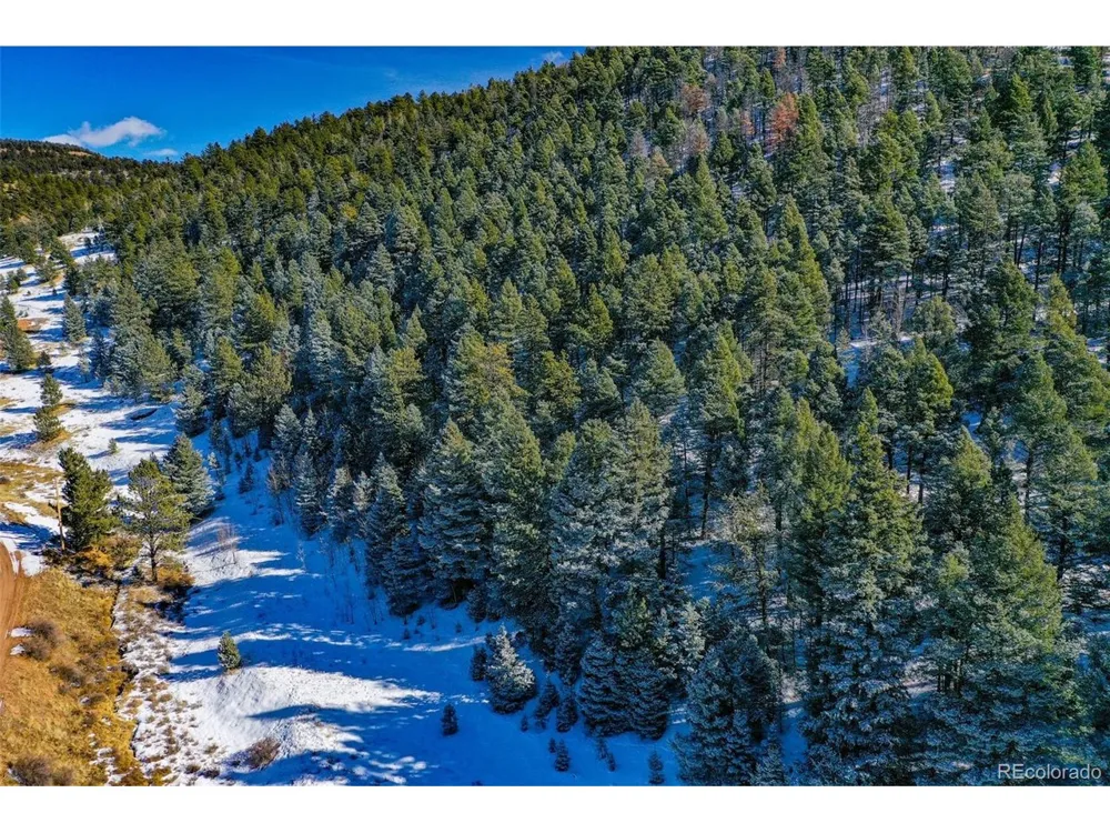 278 Penrose Circle Florissant, CO 80816