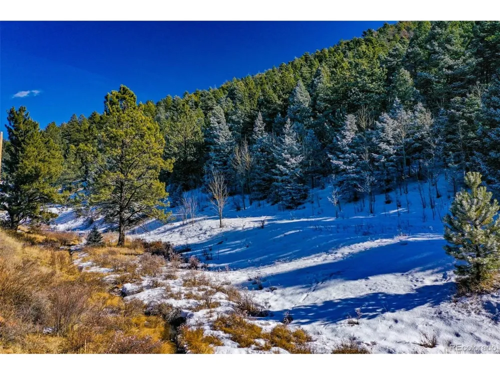 278 Penrose Circle Florissant, CO 80816