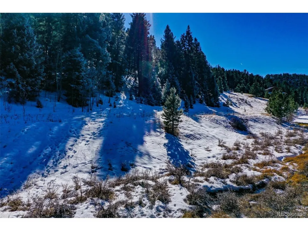 278 Penrose Circle Florissant, CO 80816