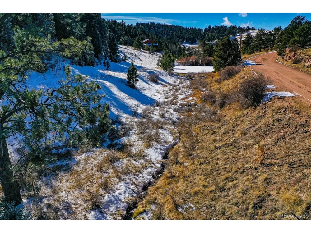 278 Penrose Circle Florissant, CO 80816