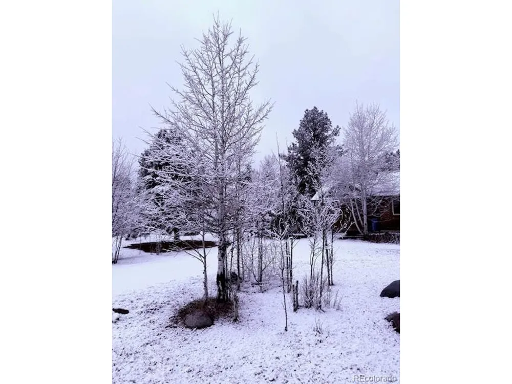 129 Sugarloaf Drive Pagosa Springs, CO 81147
