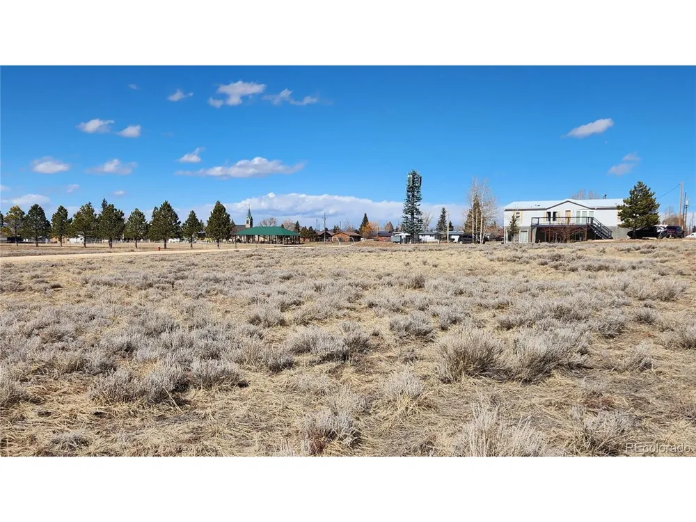 607 S Fifth Street Westcliffe, CO 81252