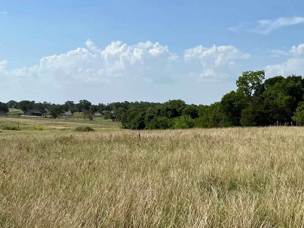 5503 Fm 149 E Anderson, TX 77830