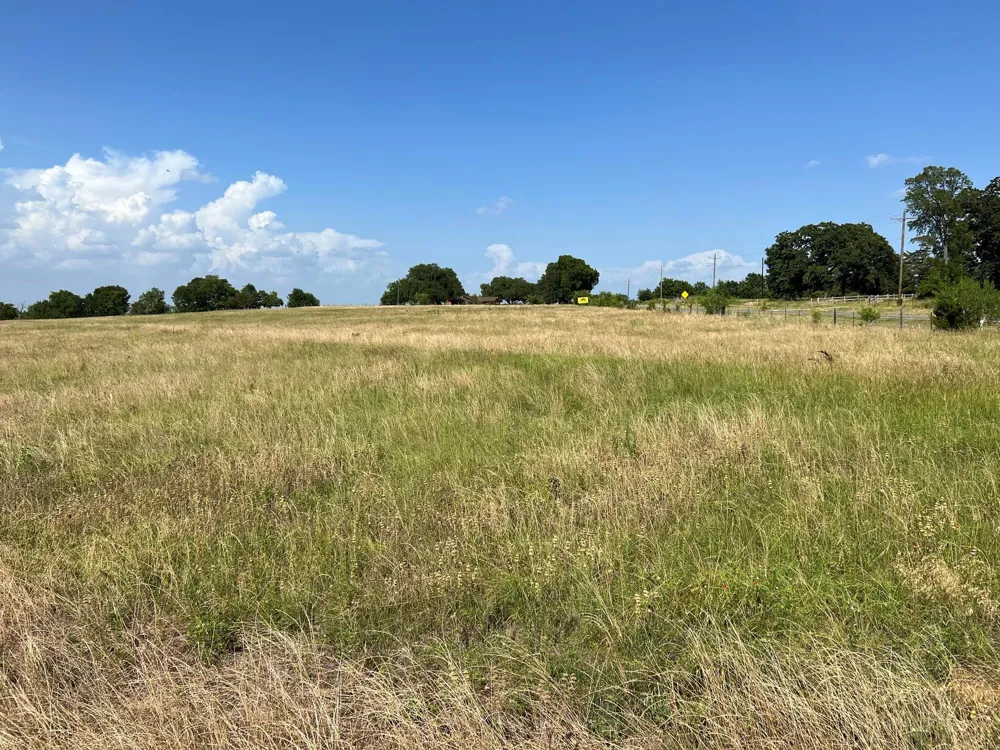 5503 Fm 149 E Anderson, TX 77830