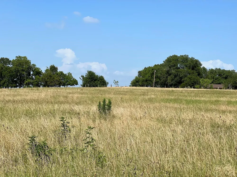 5503 Fm 149 E Anderson, TX 77830