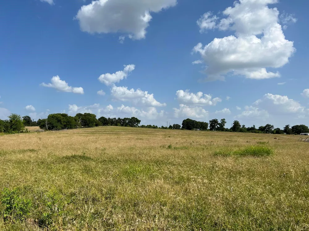 5503 Fm 149 E Anderson, TX 77830