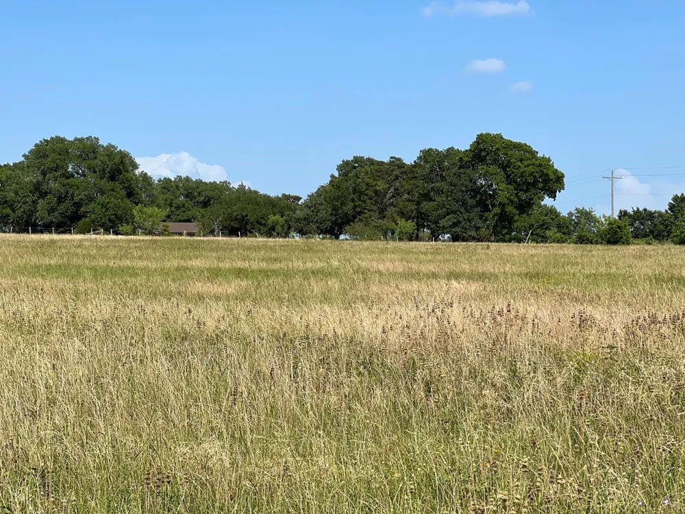 5503 Fm 149 E Anderson, TX 77830