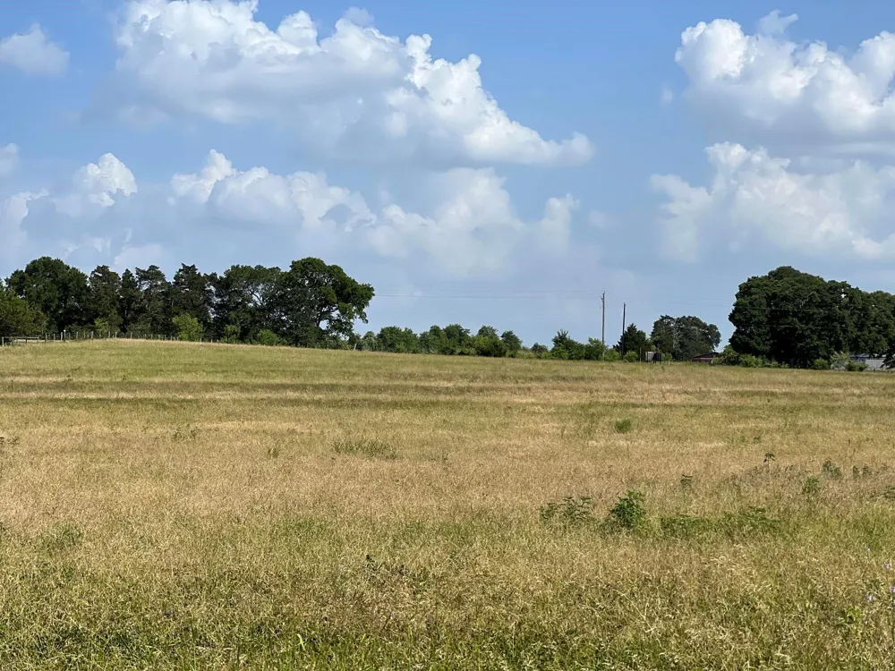 5503 Fm 149 E Anderson, TX 77830