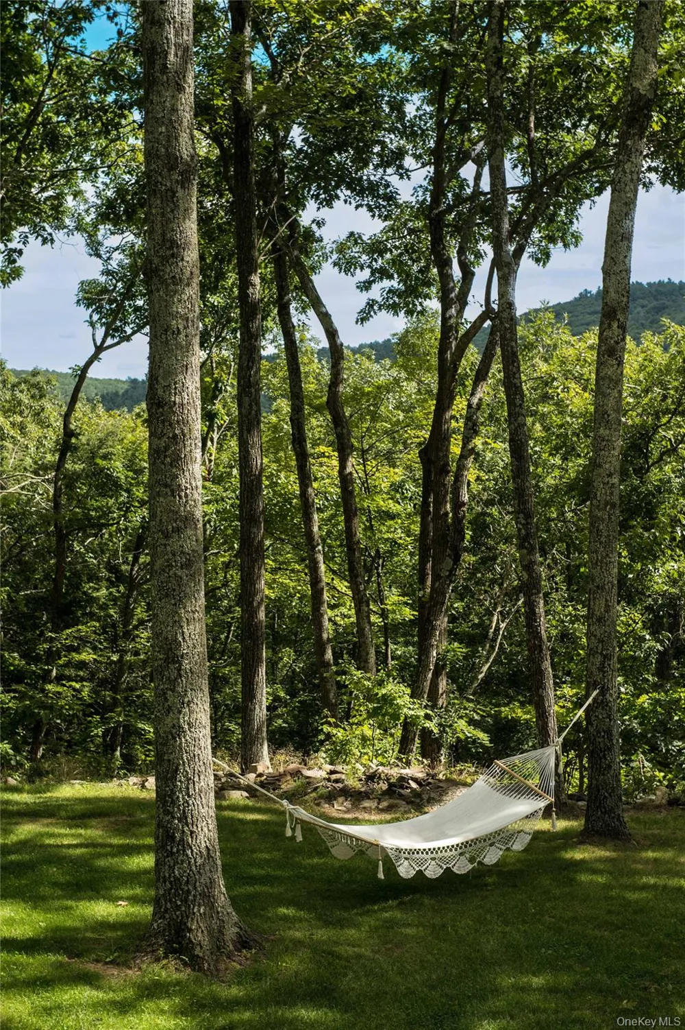 55 Nordic Drive Woodstock, NY 12498