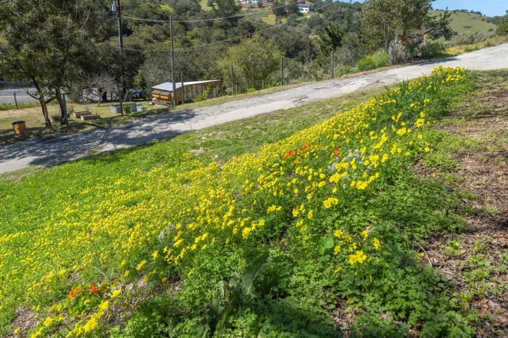 77 Laureles Grade Salinas, CA 93908