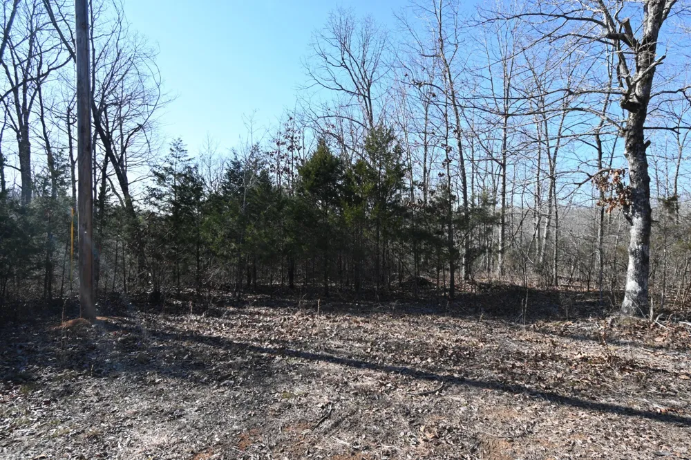 146 Wyatt Lane Linden, TN 37096