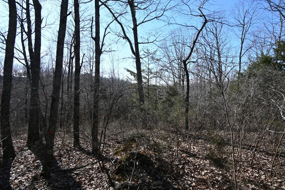 146 Wyatt Lane Linden, TN 37096