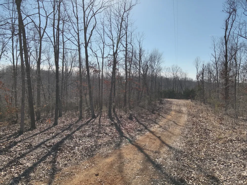 146 Wyatt Lane Linden, TN 37096