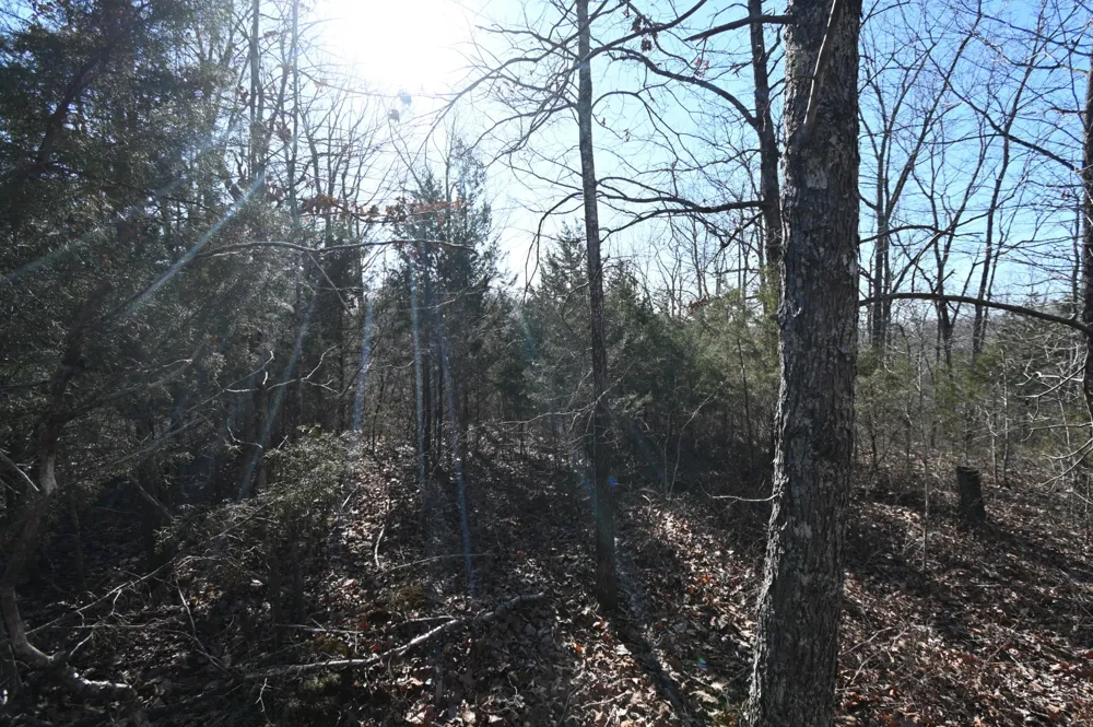146 Wyatt Lane Linden, TN 37096