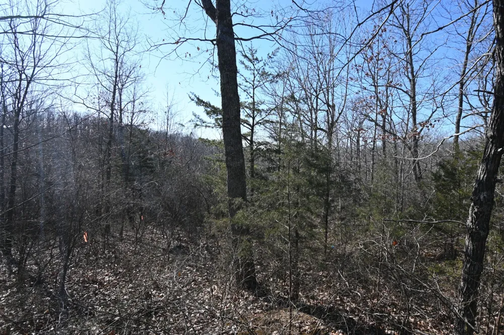 146 Wyatt Lane Linden, TN 37096