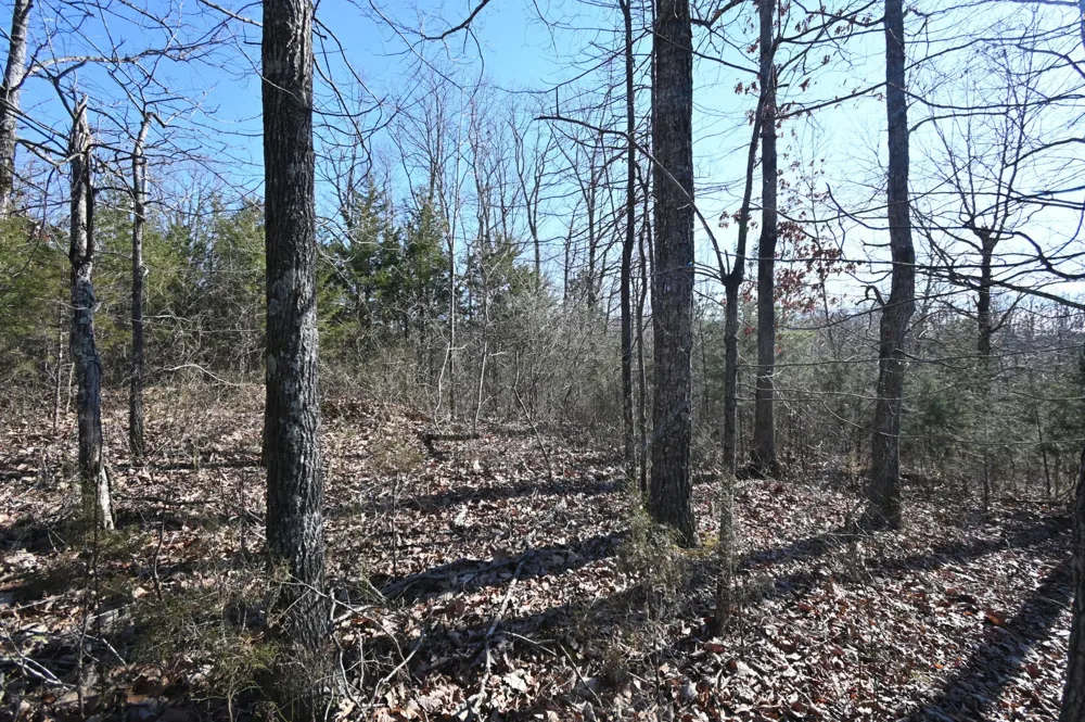 146 Wyatt Lane Linden, TN 37096