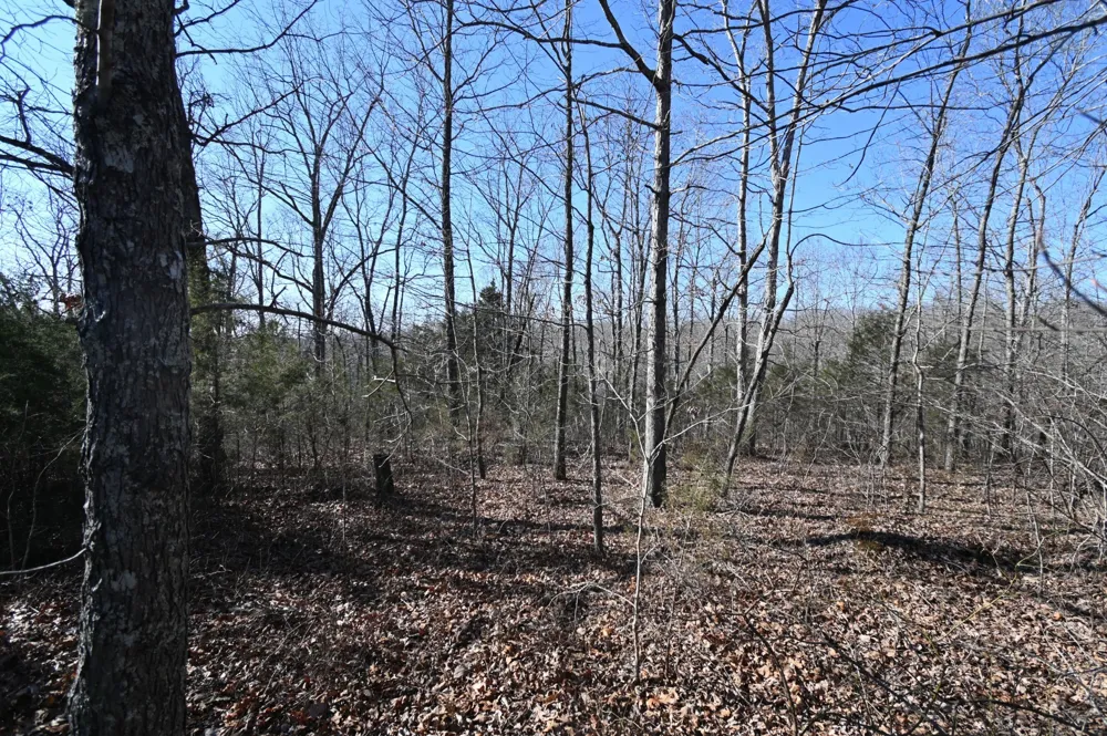 146 Wyatt Lane Linden, TN 37096