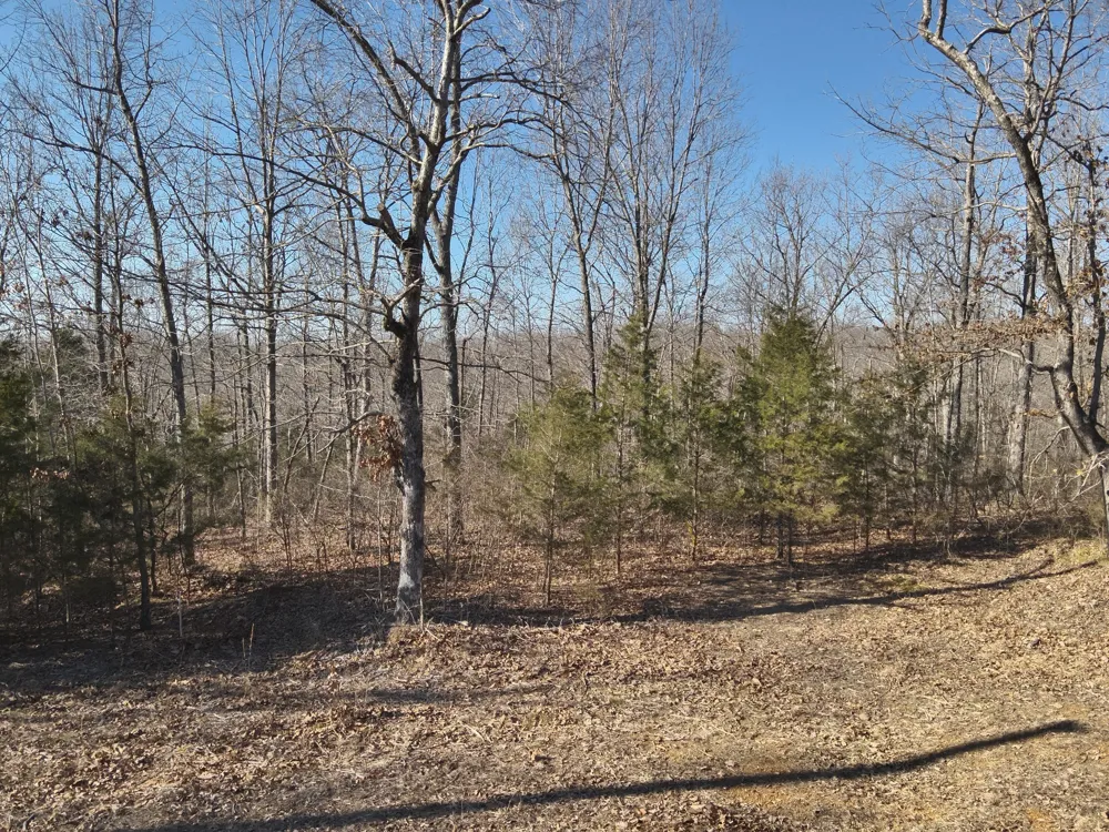 146 Wyatt Lane Linden, TN 37096