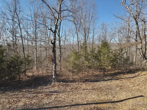 146 Wyatt Lane