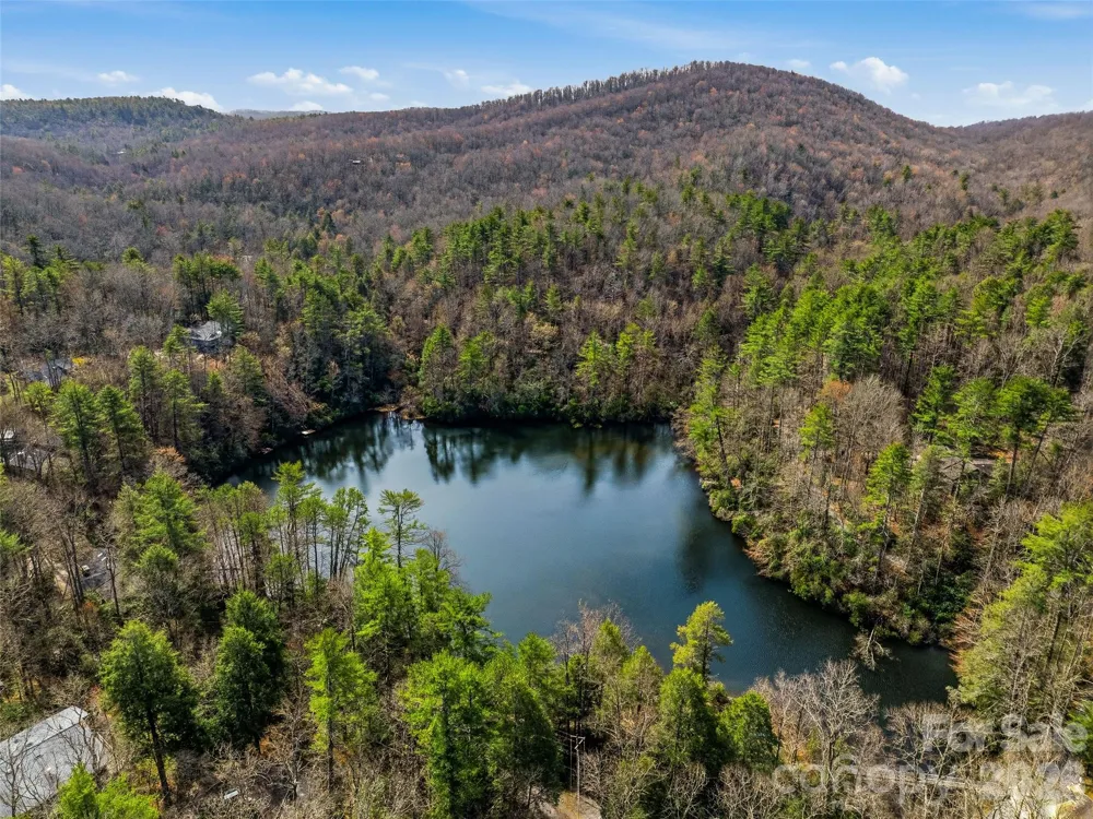 15 Gold Finch Court Brevard, NC 28712