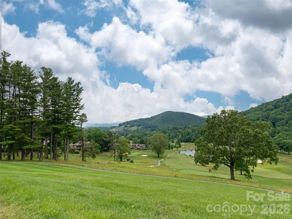 Lot #117 Honey Locust Drive Mills River, NC 28759