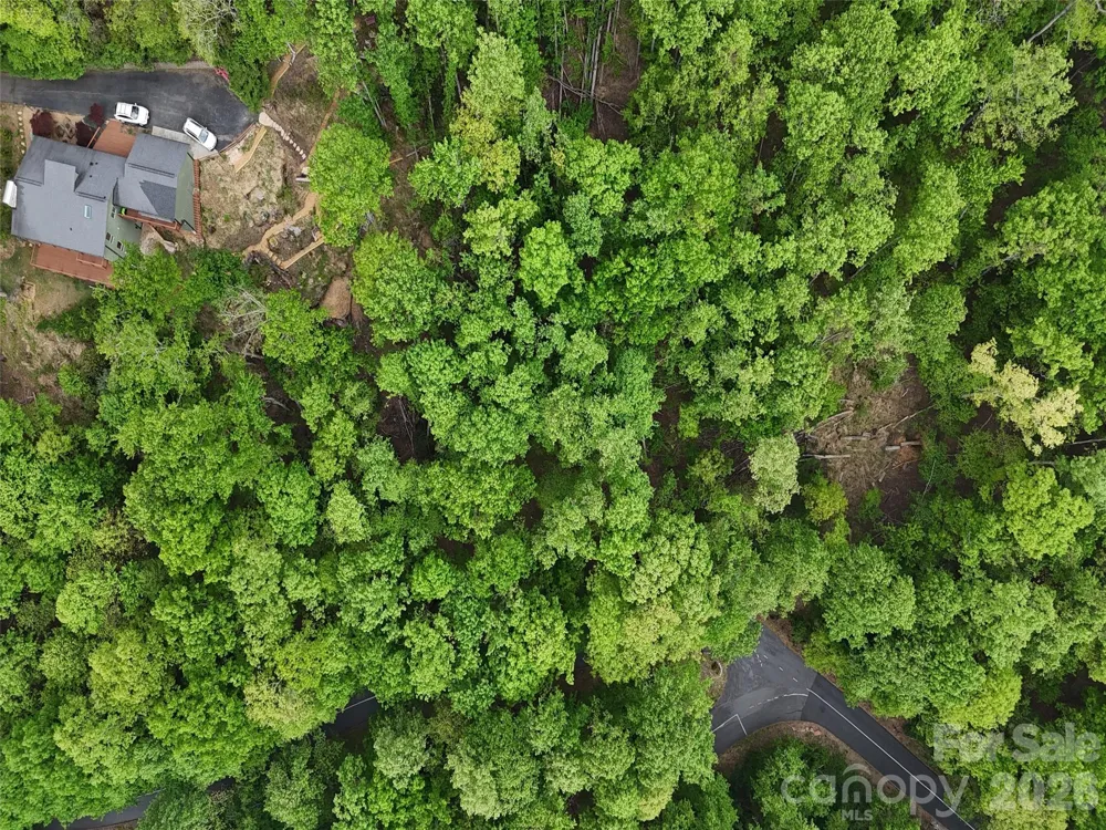 Lot #117 Honey Locust Drive Mills River, NC 28759