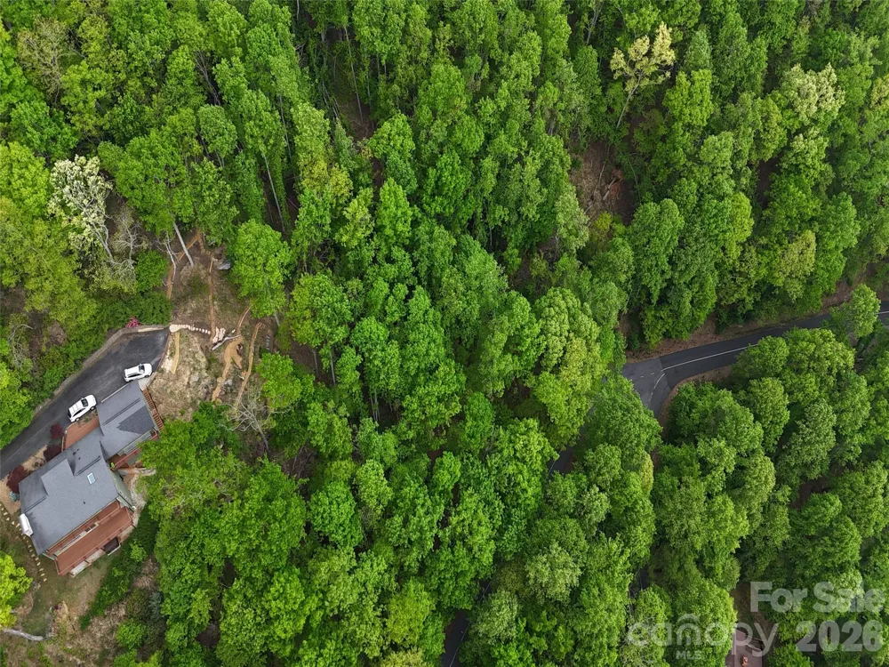 Lot #117 Honey Locust Drive Mills River, NC 28759