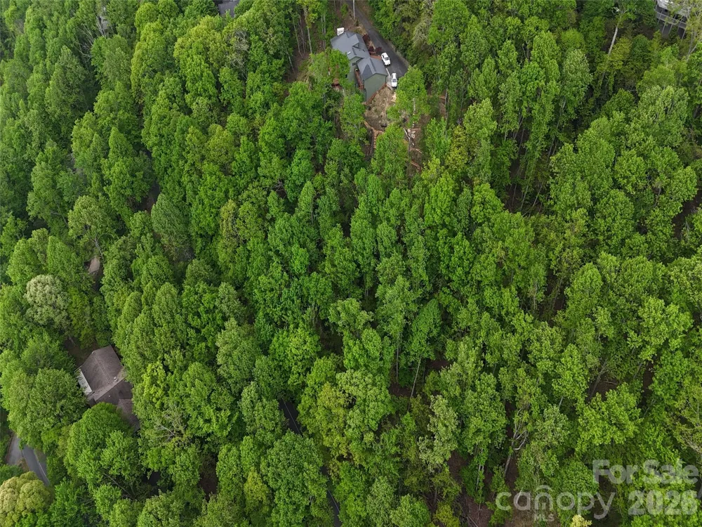 Lot #117 Honey Locust Drive Mills River, NC 28759