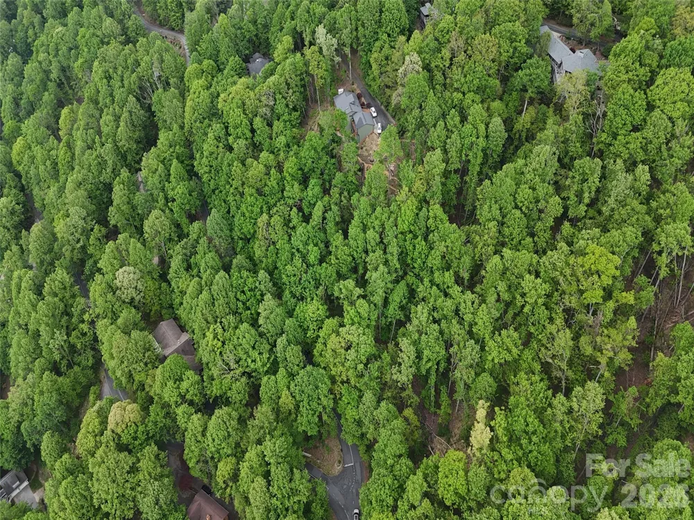 Lot #117 Honey Locust Drive Mills River, NC 28759