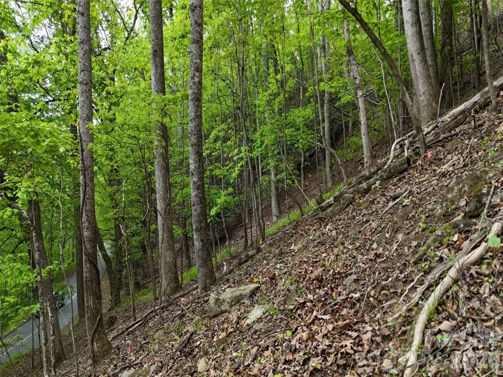 Lot #117 Honey Locust Drive Mills River, NC 28759