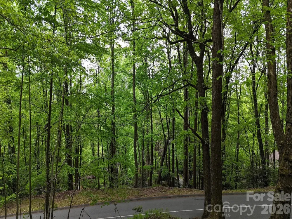 Lot #117 Honey Locust Drive Mills River, NC 28759