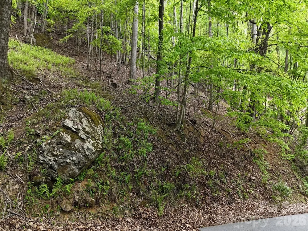 Lot #117 Honey Locust Drive Mills River, NC 28759