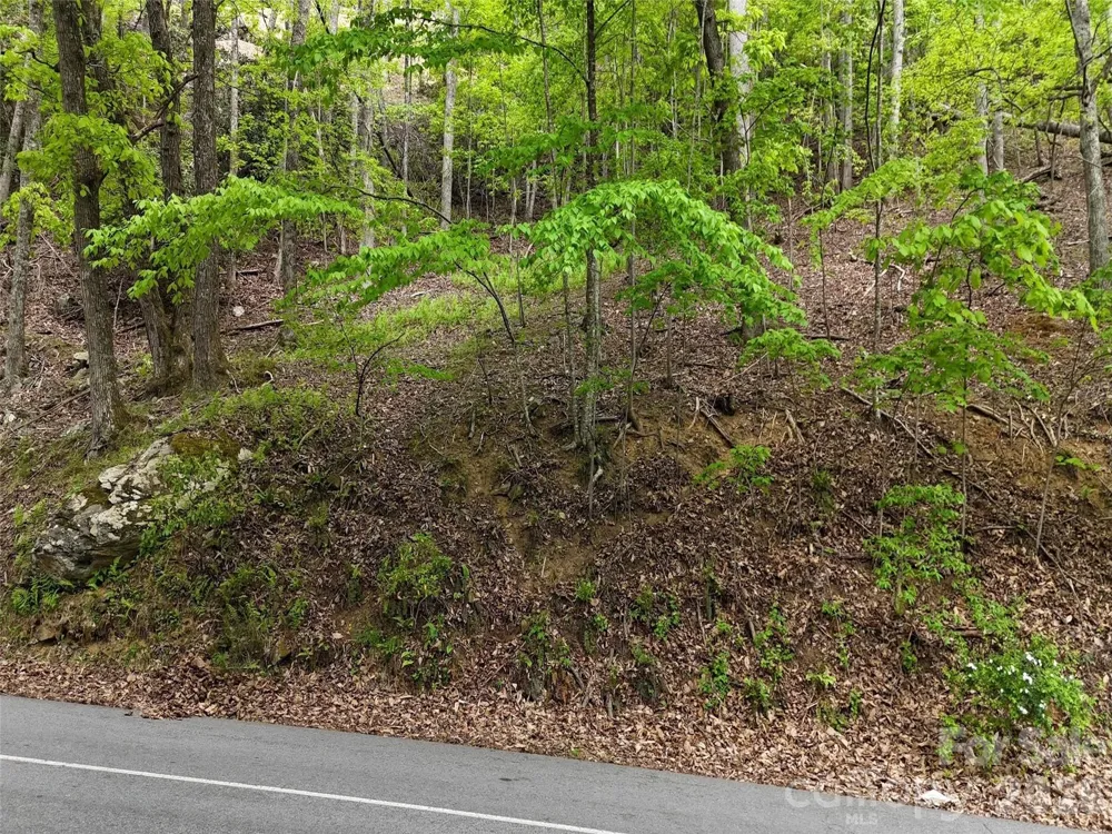 Lot #117 Honey Locust Drive Mills River, NC 28759