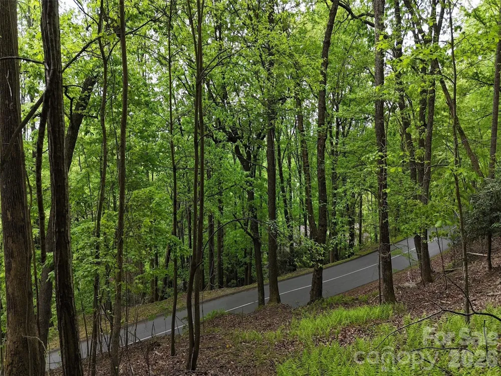 Lot #117 Honey Locust Drive Mills River, NC 28759
