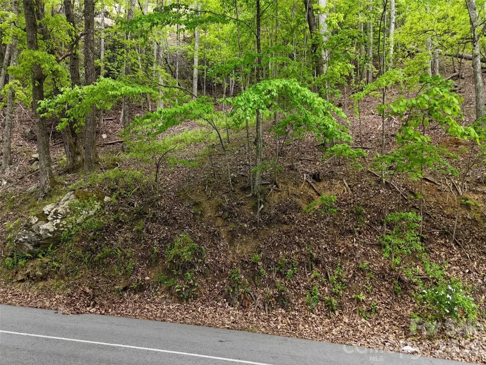 Lot #117 Honey Locust Drive Mills River, NC 28759
