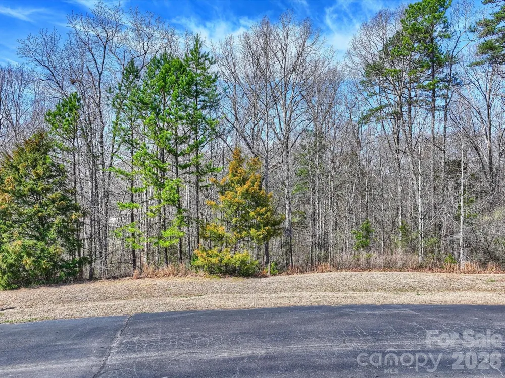 7316 Barrington Ridge Drive #14 Fort Mill, SC 29707