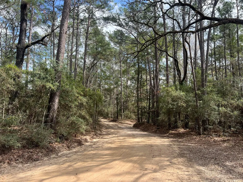 Eureka Corrigan, TX 75939