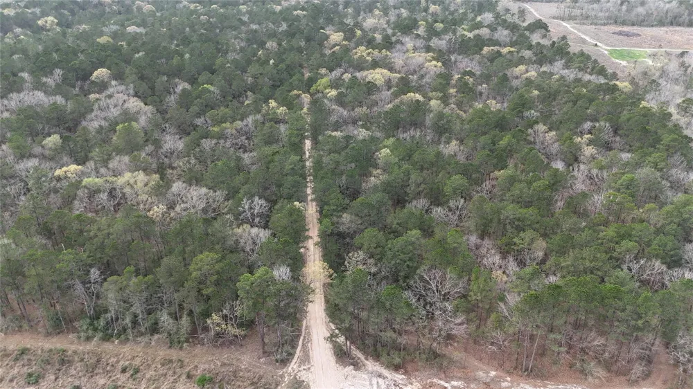 Eureka Corrigan, TX 75939