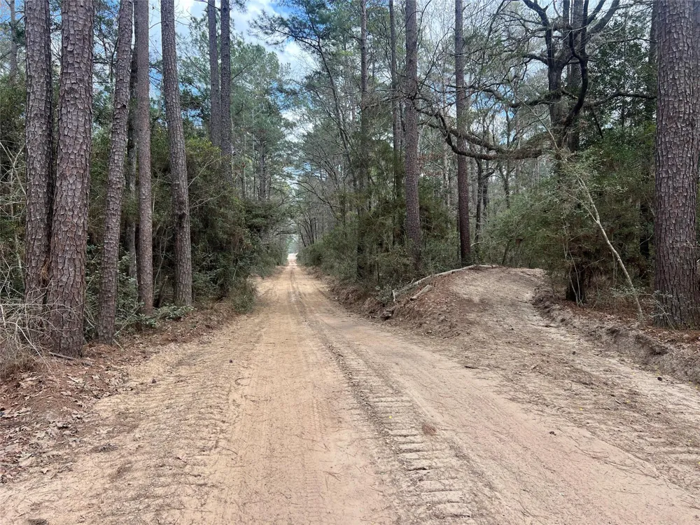 Eureka Corrigan, TX 75939